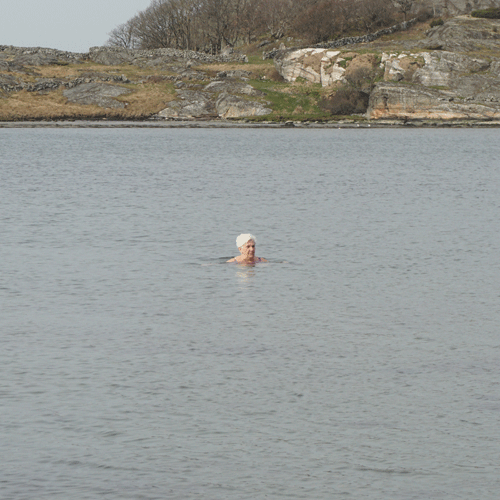 Timmervik