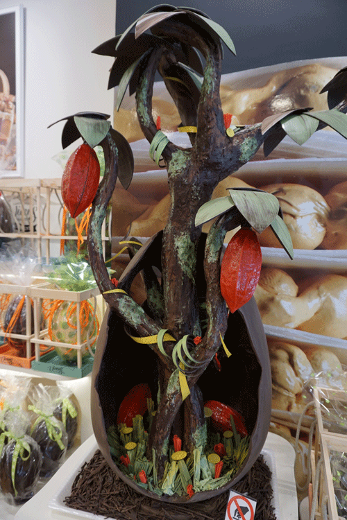Chokladbutik BArcelona