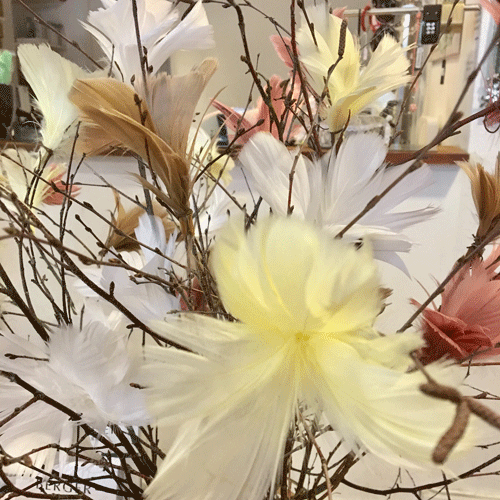 Påskfjäder blomma