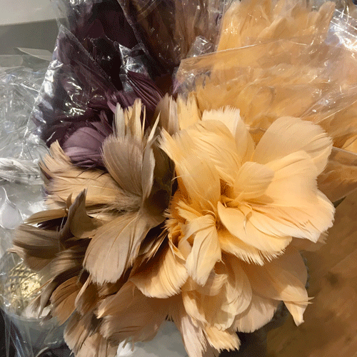 Påskfjäder blomma