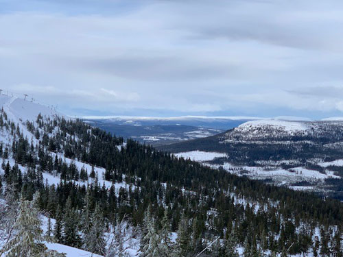 Stöten sälen