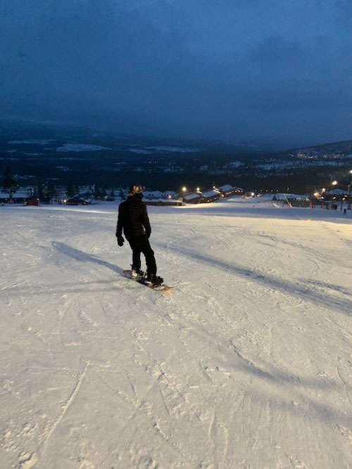Stöten sälen