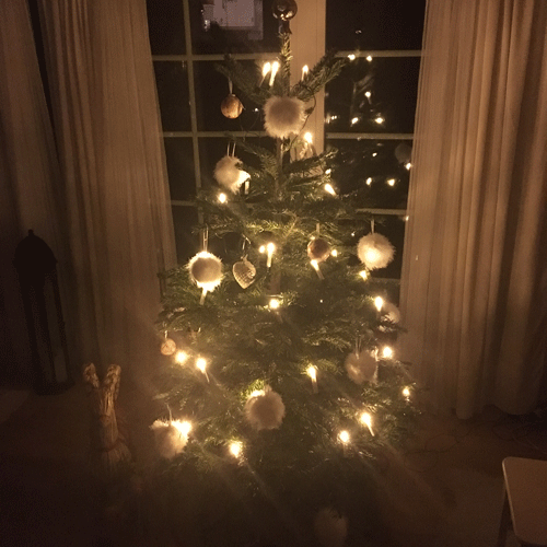 Julgran med dunkulor