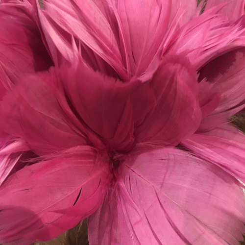 Cerise påskfjäder blomma