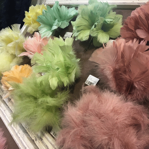 påskfjäder blomma