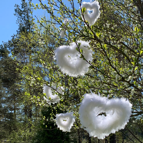 Fjäderhjärta