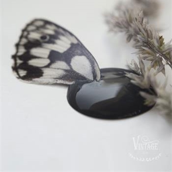 Jeanne dárc living Black velvet