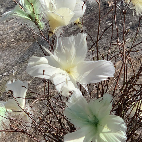 påskfjäder blomfjäder