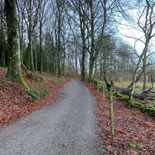 Morgonpromenad Fontin
