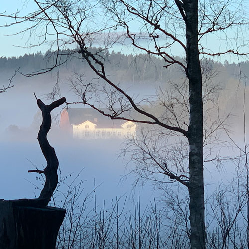 morgonpromenad fomtin