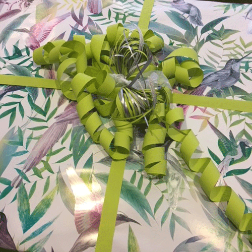 Presentpapper fågel