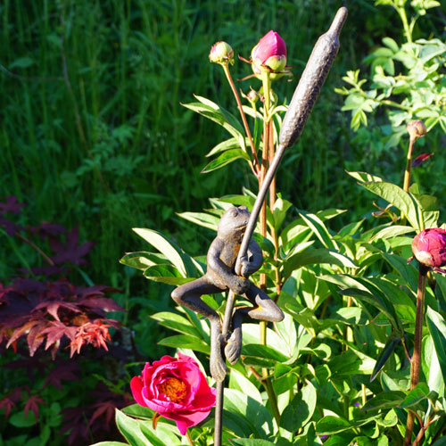 Groda på kaveldun Eld garden