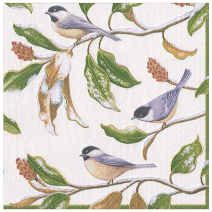 Bild på Caspari Chickadee and Magnolia Ivory Middagsservett