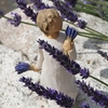 Bild på Willow tree Lavender Grace
