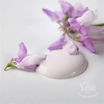 Bild på Baby rose Jeanne dá Living Vintage paint 700 ml