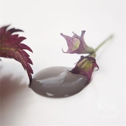 Bild på Dark powder Jeanne dárc living vintage paint 700 ml