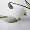 Bild på Dusty green Jeanne dárc living Vintage paint 100ml