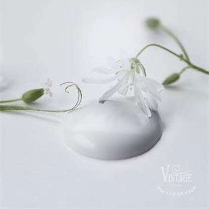 Bild på Natural white Jeanne dárc living Vintage paint 700 ml