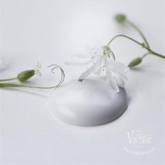 Bild på Natural white Jeanne dárc living Vintage paint 700 ml