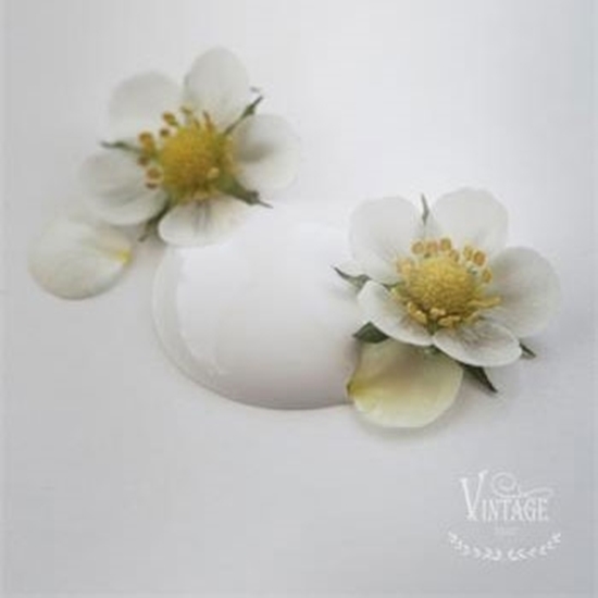 Bild på Soft cream Jeanne dárc livingVintage paint 100 ml