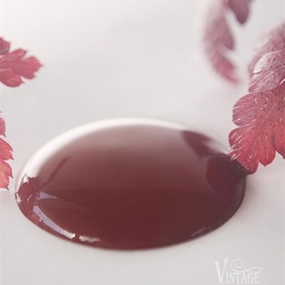 Bild på Rusty redJeanne dárc living Vintage paint 100 ml