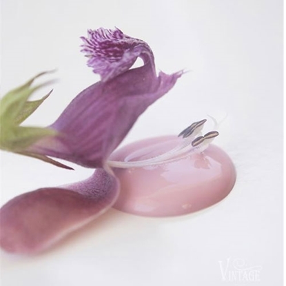 Bild på Dusty Rose Jeanne dárc living Vintage paint 100ml