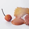 Bild på Rusty Orange Jeanne dárc living Vintage paint 100 ml