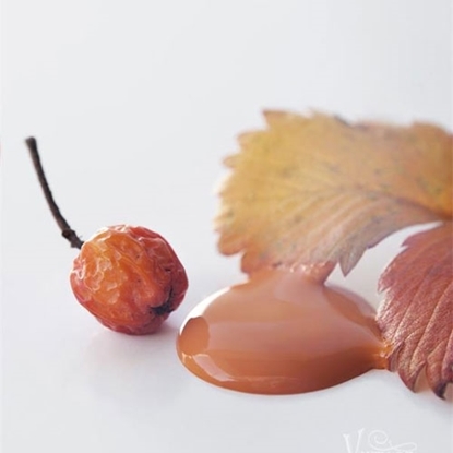 Bild på Rusty Orange Jeanne dárc living Vintage paint 100 ml