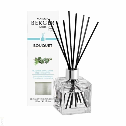Bild på Doftpinnar Fresh Eucalyptus
