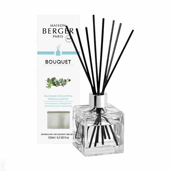 Bild på Doftpinnar Fresh Eucalyptus
