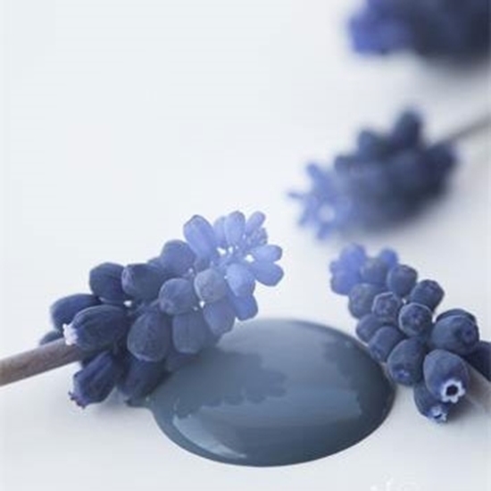 Bild på Royal Blue Jeanne dárc living Vintage paint 700 ml