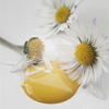 Bild på Warm Yellow Vintage paint 700 ml