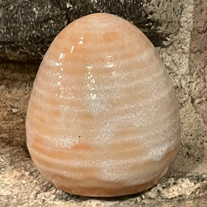 Bild på Drejat ägg korall 