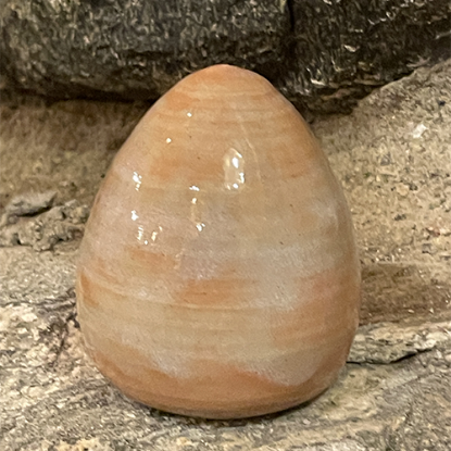 Bild på Drejat ägg korall