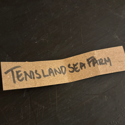 tävling timmervikens keramik