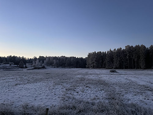 timmervik