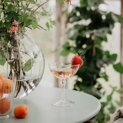 champagneglas kerstin strömshaga  coupeglas 